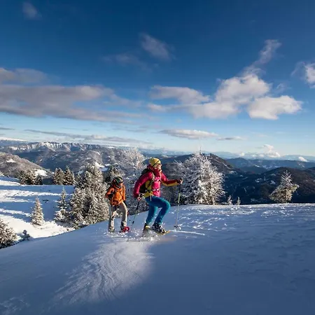 Luxury Kreischberg 11a