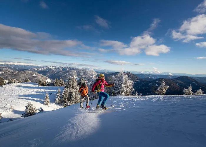 Luxury Kreischberg 11a