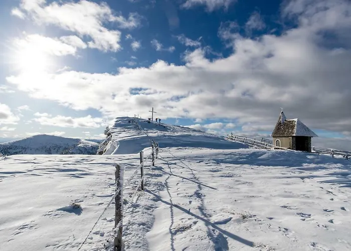 شاليه Luxury Kreischberg 11a *